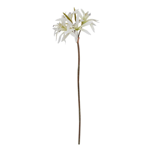 The Natural Garden Collection White Lily Stem