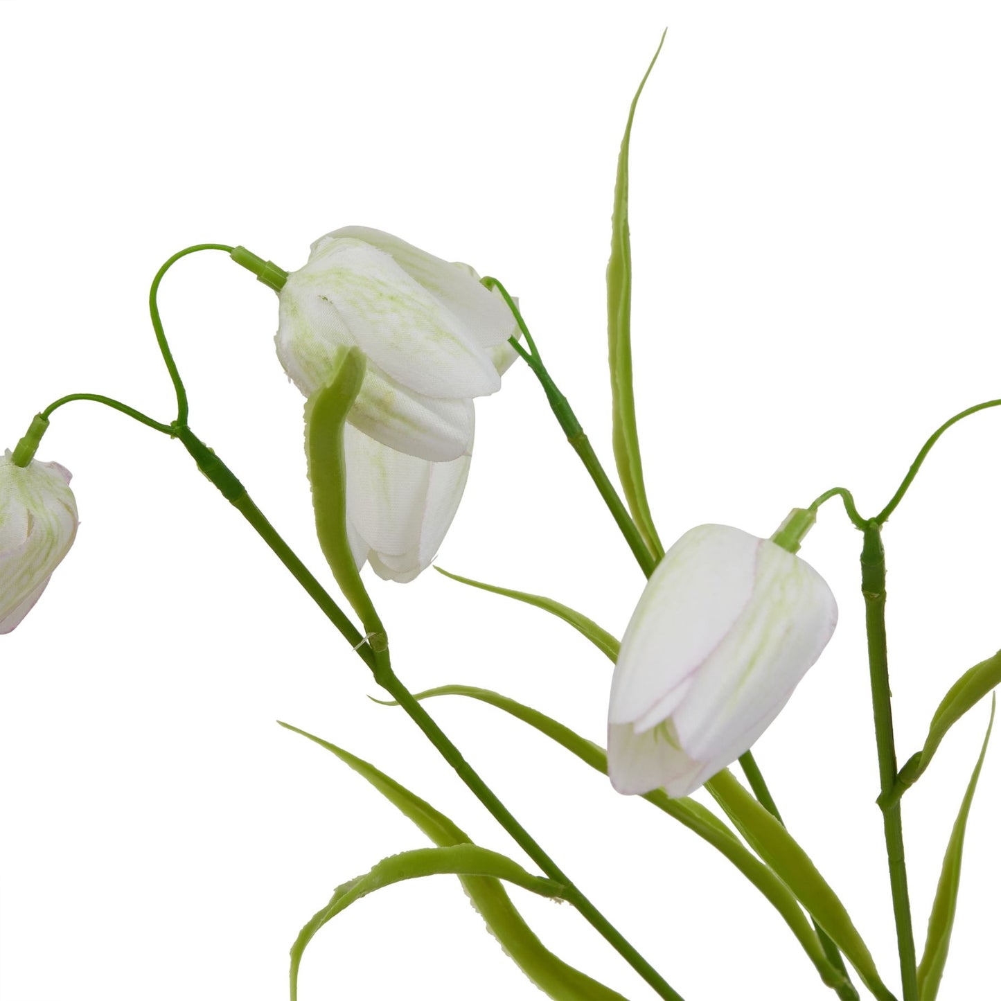 The Natural Garden Collection White Fritillaria Stem